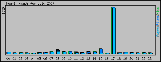Hourly usage