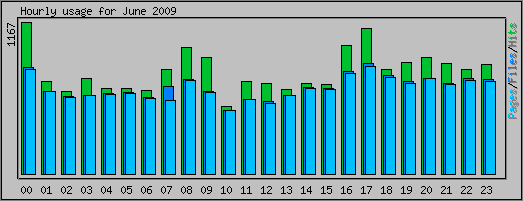Hourly usage