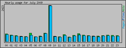 Hourly usage