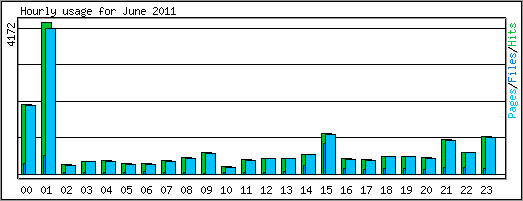 Hourly usage