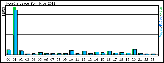 Hourly usage