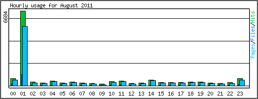 Hourly usage