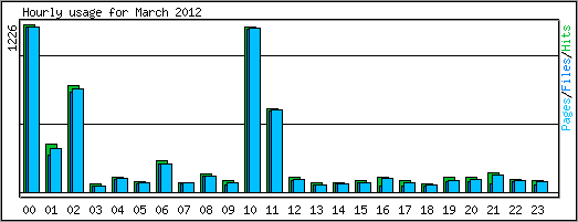 Hourly usage