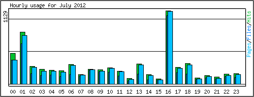 Hourly usage
