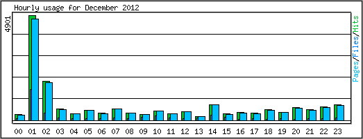 Hourly usage