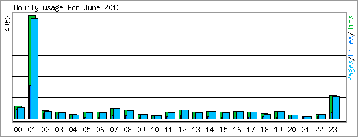 Hourly usage
