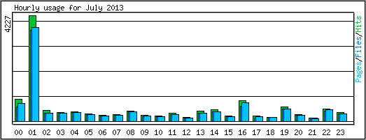 Hourly usage