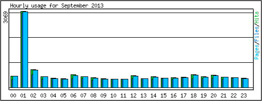 Hourly usage
