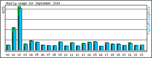 Hourly usage