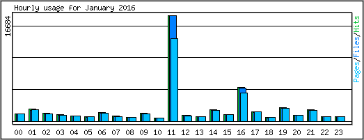 Hourly usage