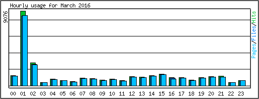 Hourly usage