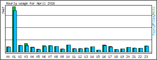 Hourly usage
