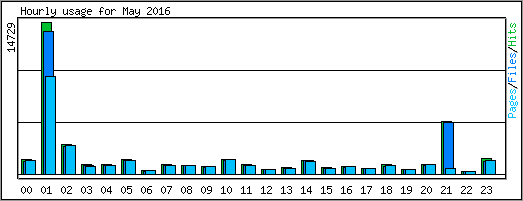 Hourly usage