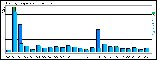 Hourly usage