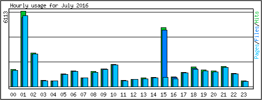 Hourly usage