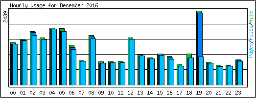 Hourly usage