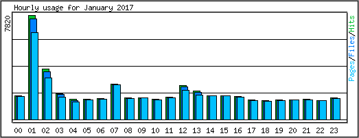 Hourly usage