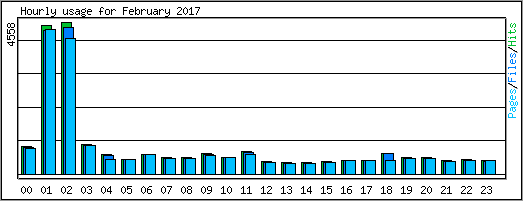 Hourly usage