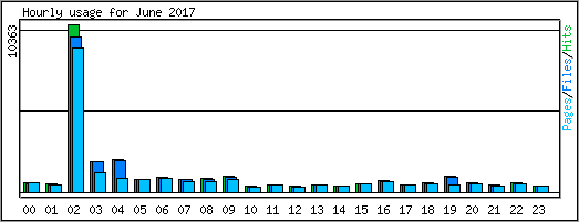 Hourly usage