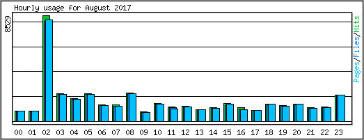 Hourly usage