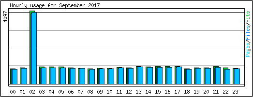 Hourly usage