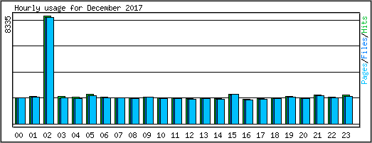 Hourly usage