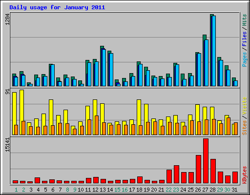 Daily usage for January 2011