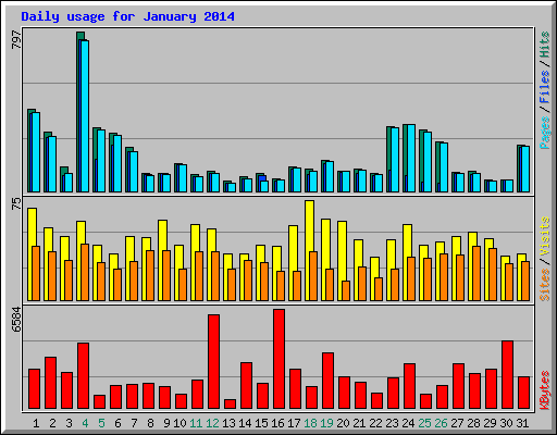 Daily usage for January 2014