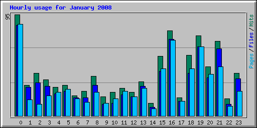 Hourly usage for January 2008