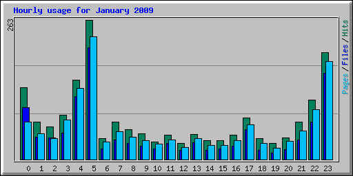Hourly usage for January 2009