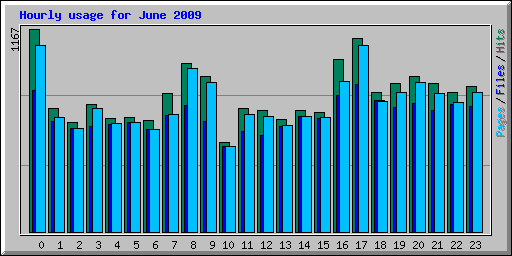 Hourly usage for June 2009