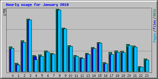 Hourly usage for January 2010