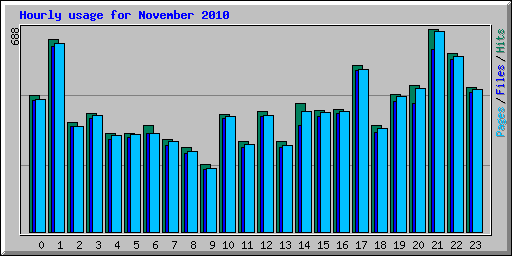 Hourly usage for November 2010