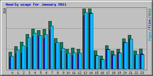 Hourly usage for January 2011