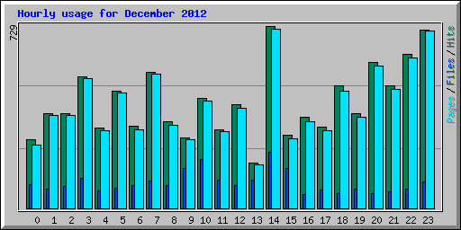 Hourly usage for December 2012