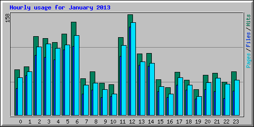 Hourly usage for January 2013