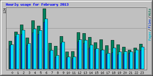 Hourly usage for February 2013