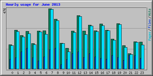 Hourly usage for June 2013