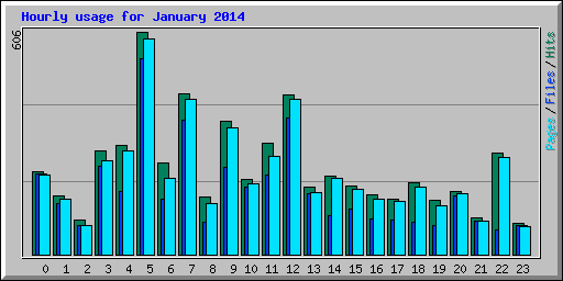 Hourly usage for January 2014