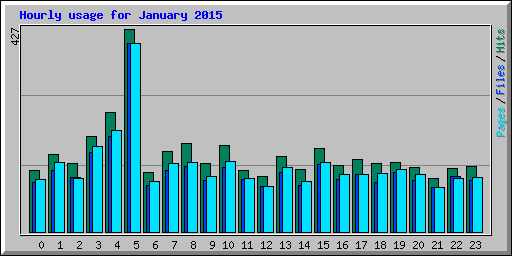 Hourly usage for January 2015