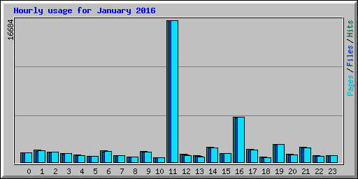 Hourly usage for January 2016