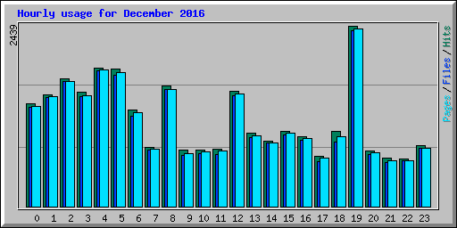 Hourly usage for December 2016