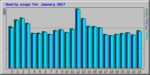 Hourly usage for January 2017